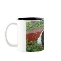 Humbug mugs