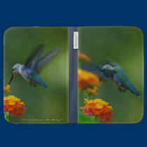 Humm along for the read! caseable cases