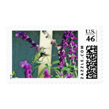 Humm II Postage Stamps