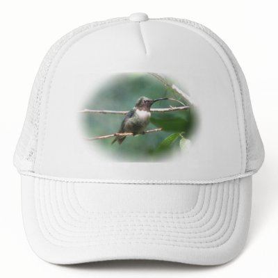 Hummer Kiss Hat by naturegirl7