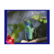 Hummer-Let your light shine postcards