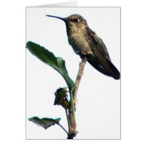 Hummer on apple tree 2 cards by myscrewsbeloose Hummer on apple tree 2 cards