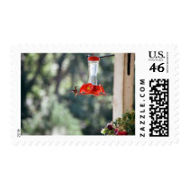 Hummer postage by knotth Hummer postage