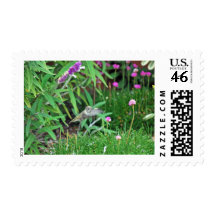 Hummer Postage Stamps