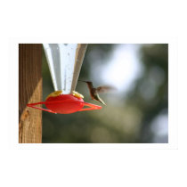 hummer posters