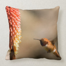 Humminbird and Red  Hot Poker Flower Throw Pillow