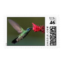 Humming Beauty postage