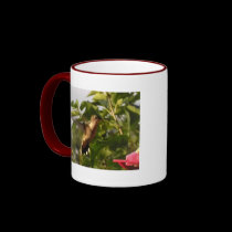 Humming Bird 1 mugs