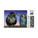 Humming bird and raven postage by tanyabond Humming bird and raven postage