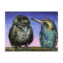 Humming bird and raven postcards by tanyabond Humming bird and raven postcards