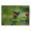 Humming Bird Card by onewish1 Humming Bird Card