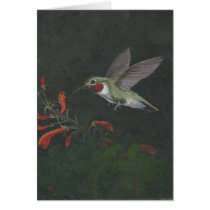 humming bird cards
