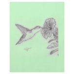 Humming Bird Flyer