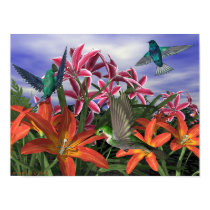 Humming bird Garden posters by online_art Humming bird Garden posters