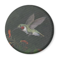 humming bird magnets