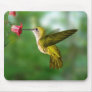 humming bird mousepad