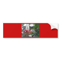 humming bird on feeder bumper sticker