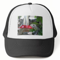 humming bird on feeder mesh hats