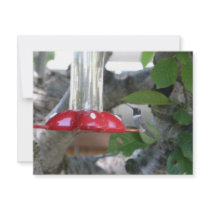 humming bird on feeder personalized invitations