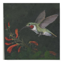 humming bird posters