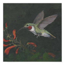 humming bird print