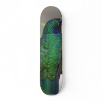 Humming Bird Skate Decks