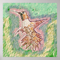 Humming Bird Sq Print