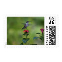 Humming Bird Stamp 2