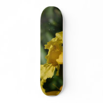 Humming Birds Flying Hovering Custom Skateboard