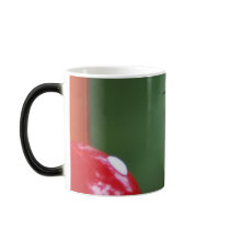 humming birds mugs by mark59956 humming birds mugs