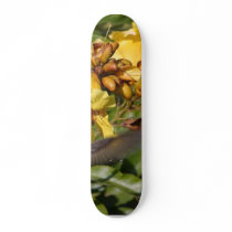 Humming Birds Skate Board Decks