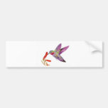 hummingbird 1 bumper sticker