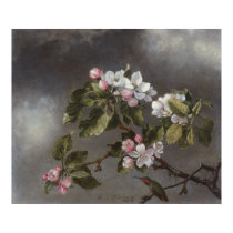 Hummingbird and Apple Blossoms Martin J. Heade posters by Ladiebug Hummingbird and Apple Blossoms Martin J. Heade posters