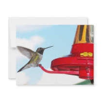 Hummingbird and Feeder invitations by fairygirlbooks Hummingbird and Feeder invitations