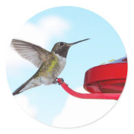 Hummingbird and Feeder Nature Stickers