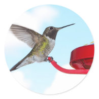 Hummingbird and feeder sticker