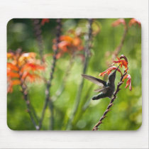 Hummingbird and Flower Mousepad