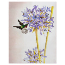 Hummingbird and Flowers Personalized Flyer
