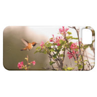 Hummingbird and Flowers iPhone 5 Cases