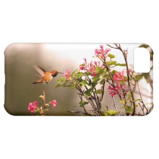 Hummingbird and Flowers iPhone 5C Cases