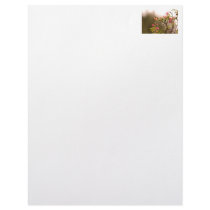 Hummingbird and Flowers Personalized Letterhead