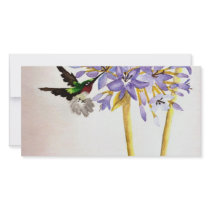 Hummingbird and Flowers photo cards