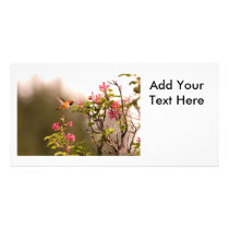 Hummingbird and Flowers Photo Card Template