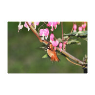Hummingbird and Flowers Picture Canvas Print