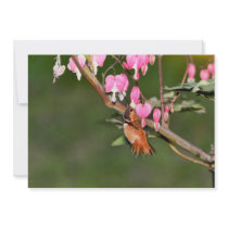 Hummingbird and Flowers Picture Custom Invite