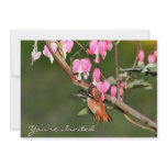 Hummingbird and Flowers Picture Invitations