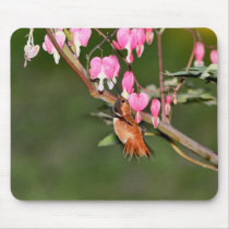 Hummingbird and Flowers Picture Mouse Pad