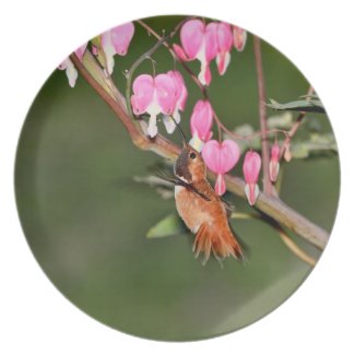 Hummingbird and Flowers Picture