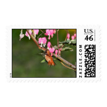 Hummingbird and Flowers Picture Postage