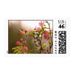 Hummingbird and Flowers Postage Stamp